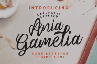 Ania Gamelia Font for Business