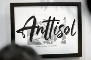Anttisol: A Bold Handwritten Font