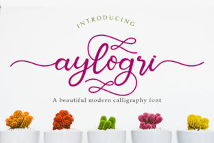 Aylogri: A Romantic Script Font for Business