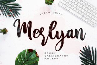 Merlyan: Elegant Script Font for Business