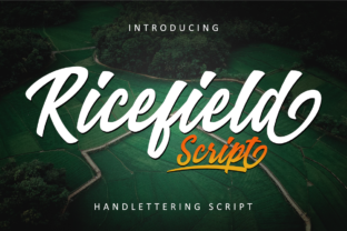 Ricefield: A Vintage Script Font